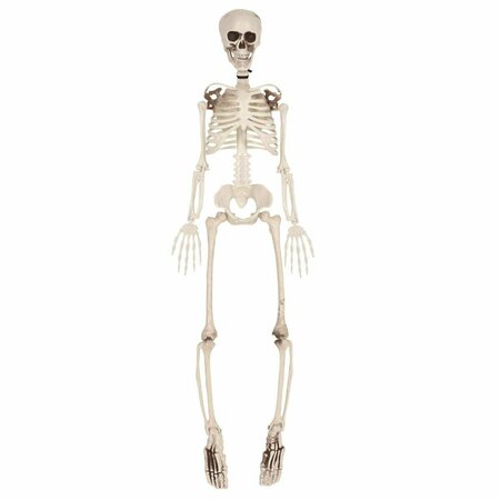 GOLDENGIFTS 3 ft. Plastic Skeleton GO2797031